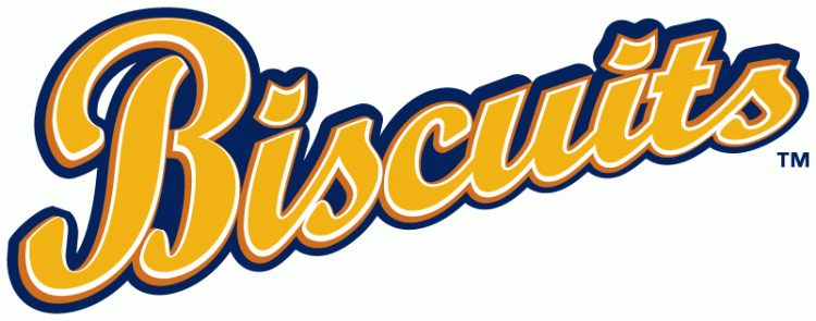 Montgomery Biscuits 2009-Pres Wordmark Logo iron on transfers for clothing